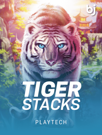Tiger Stackspng icon